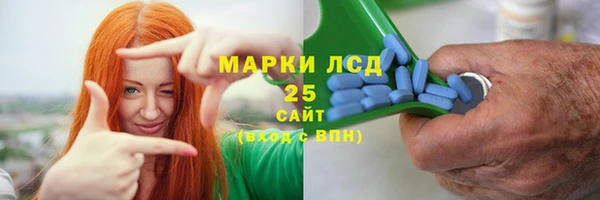 ГАЛЛЮЦИНОГЕННЫЕ ГРИБЫ Алексин